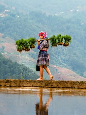 6 Days Northwest - Sapa Loop