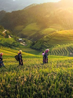 7 Days Northwest - Sapa Loop